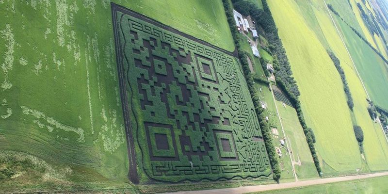 Corn maze with QR code design 3D QR code corn maze